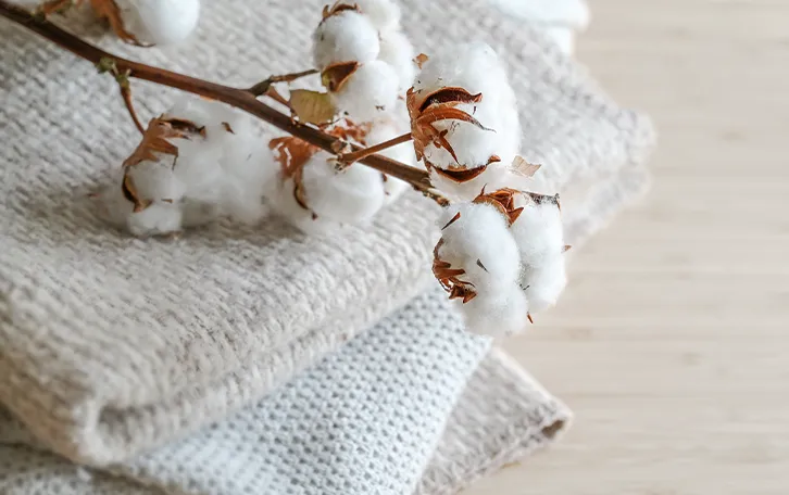 Stoffe aus Baumwolle mit einem Ast mit Baumwolle dran drauf liegend